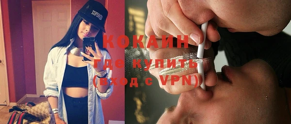 МДПВ Дмитриев