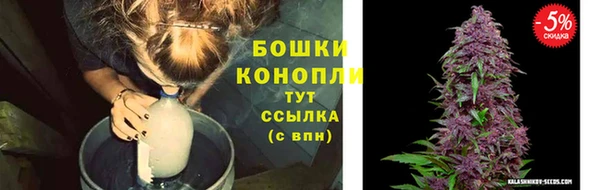 винт Дмитров