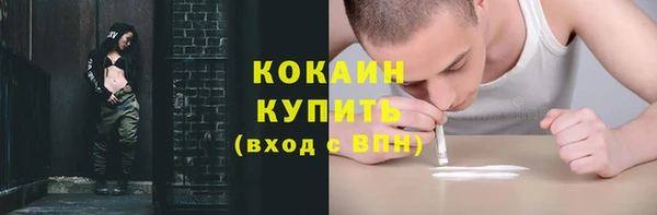 МДПВ Дмитриев