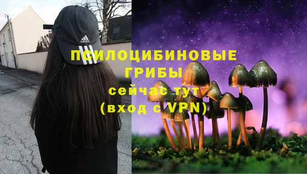 МДПВ Дмитриев