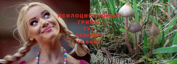 МДПВ Дмитриев