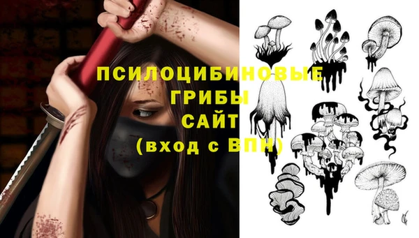 МДПВ Дмитриев