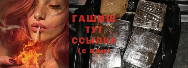 МДПВ Дмитриев
